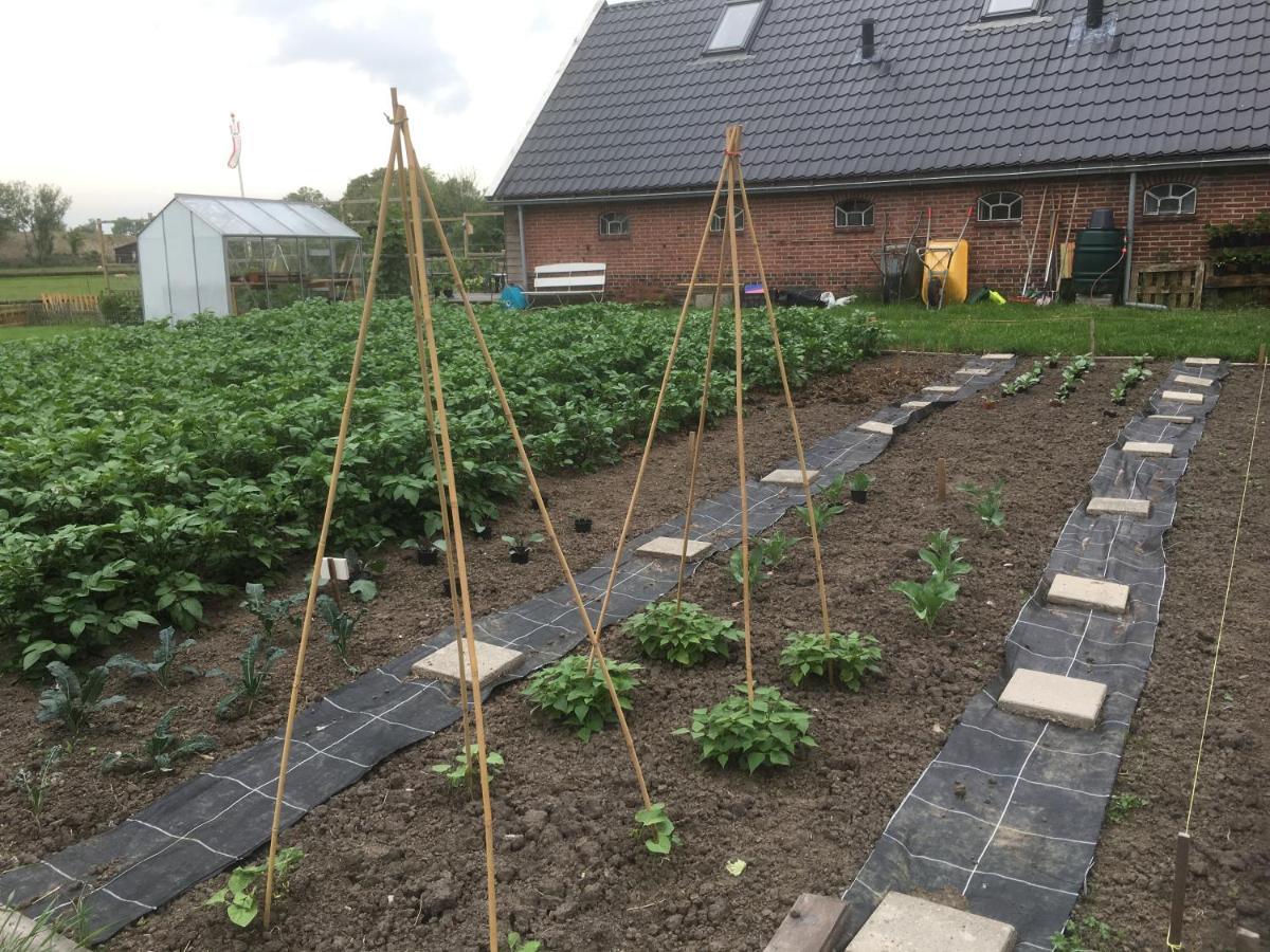 Bed and Breakfast Onder De Boom Gerkesklooster Zewnętrze zdjęcie
